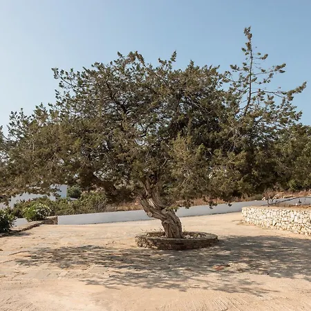 Aurea Blu 05, Experience Nature, Relax, Dream Διαμέρισμα Παραλία Αλικό