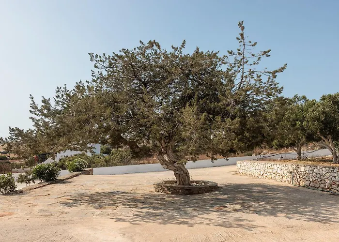 Aurea Blu 05, Experience Nature, Relax, Dream Διαμέρισμα Παραλία Αλικό